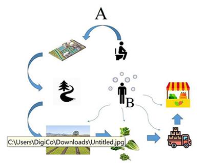 Detection of SARS-CoV-2 RNA in selected agricultural and food retail environments in Tehran, Iran